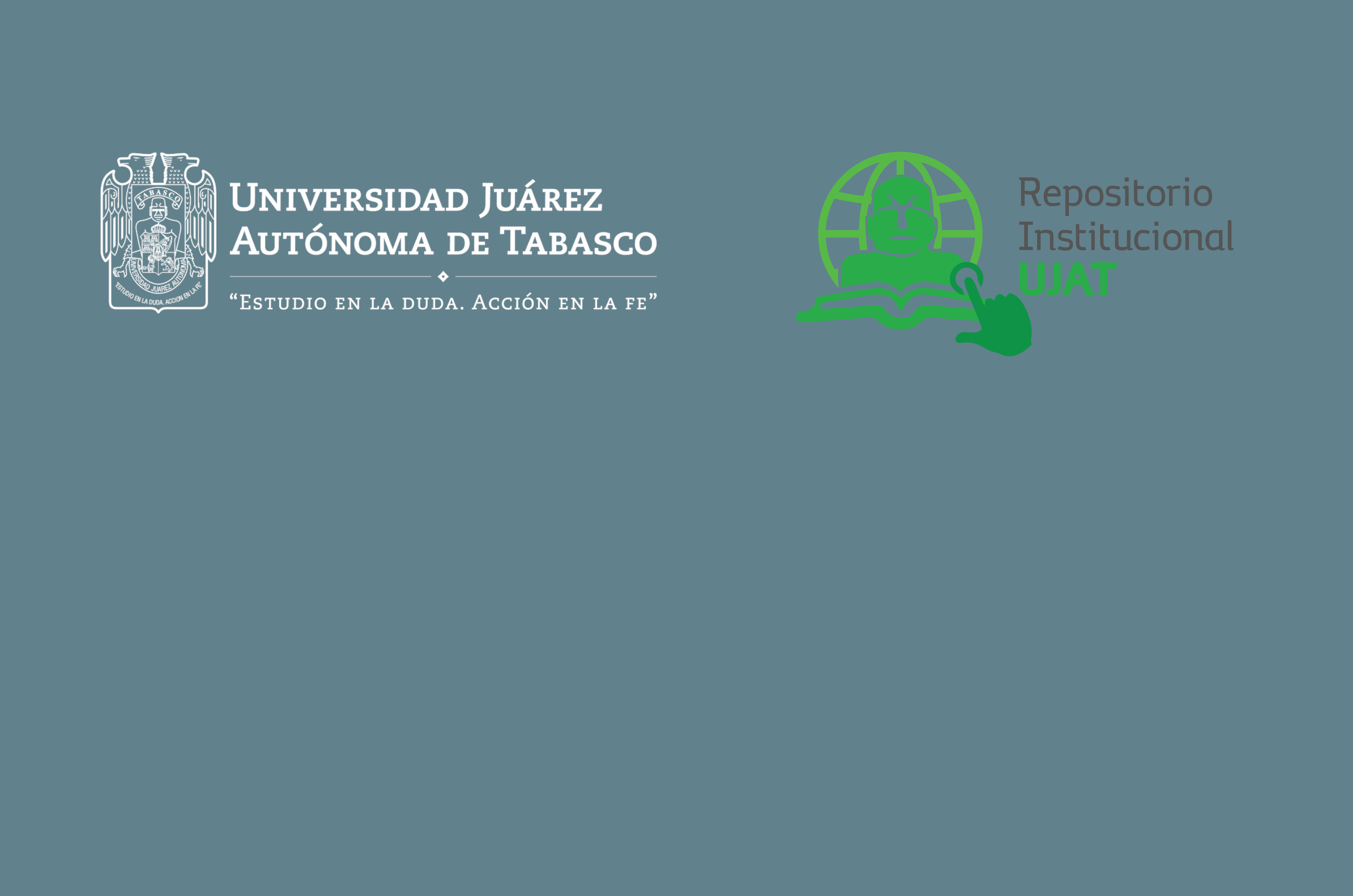 Banner del Repositorio Institucional de la UJAT