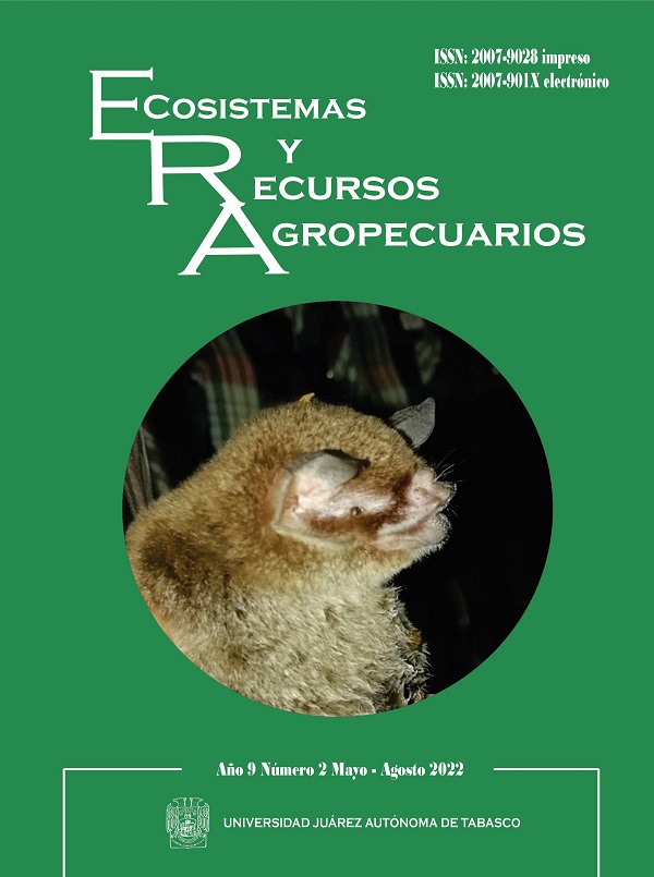 collection logo